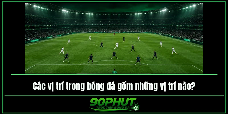 Các vị trí trong bóng đá gồm những vị trí nào Các vị trí trong bóng đá gồm những vị trí nào